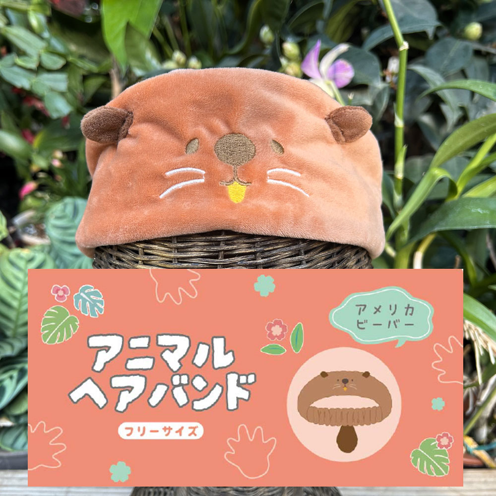 ヘアバンド　アメリカビーバー